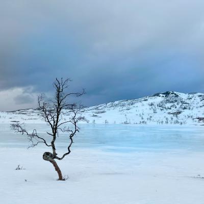 Trek en Norvège